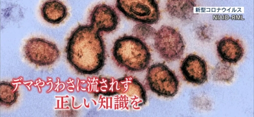 新型コロナ検定