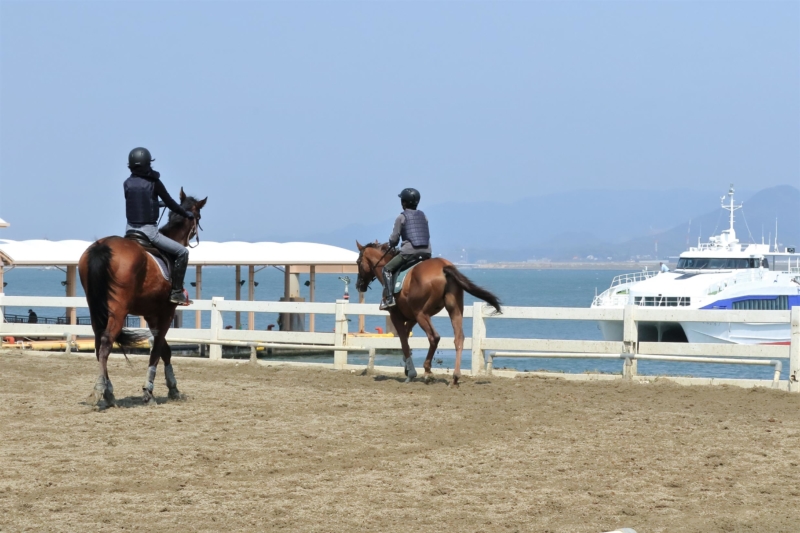 乗馬クラブ クレイン福岡