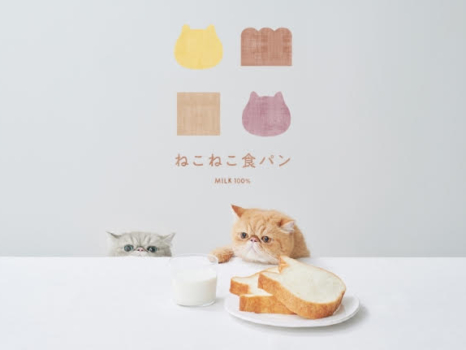 ねこねこ食パン