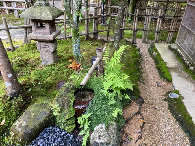 「茶の文化館」庭