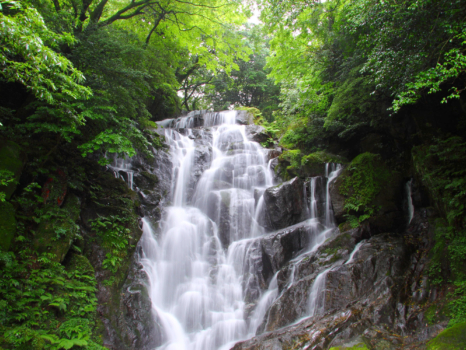 白糸の滝