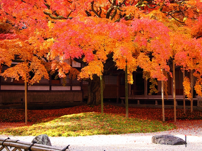 【2024年最新】福岡県「紅葉名所」24選／雷山千如寺大悲王院