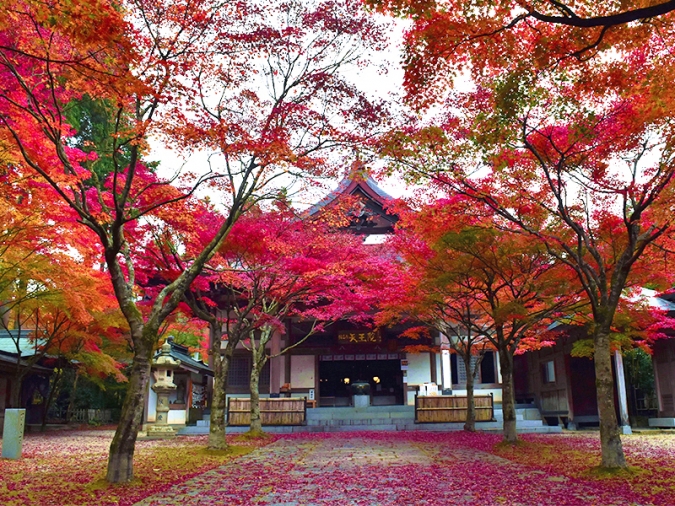 呑山観音寺　紅葉　福岡　　笹栗