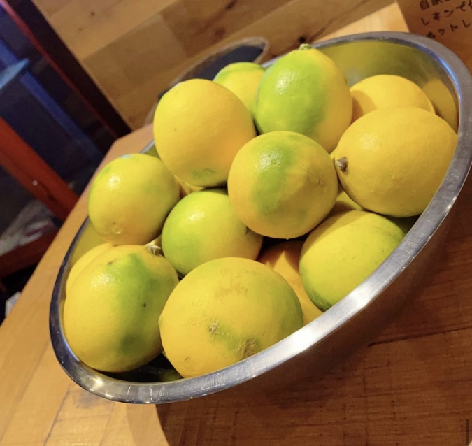 行橋檸檬（ゆくはしれもん）　レモン