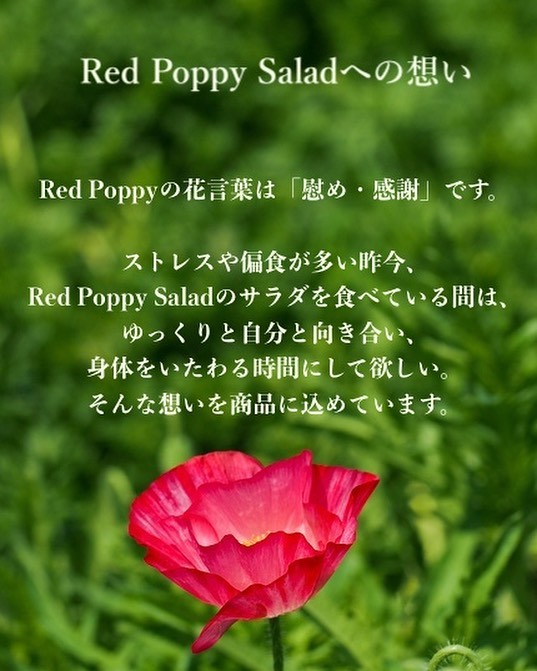 『Red Poppy Salad（レッドポピーサラダ）』の想い