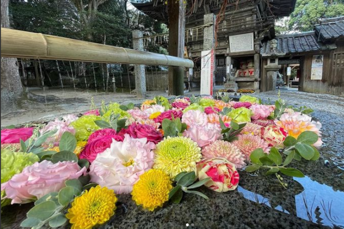 櫻井神社（さくらいじんじゃ）　花手水