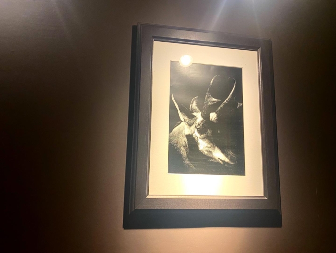ジラフモノクローム　キリンのアート