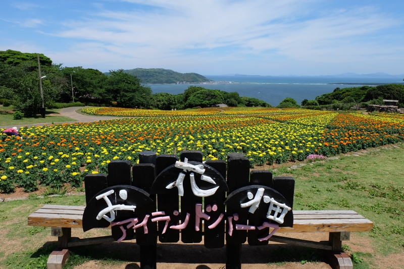 のこのしま・お花畑