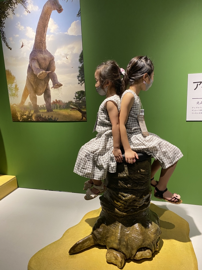 昭和建設 presents タッチ ザ ダイナソー 恐竜アドベンチャー展　アパトサウルスの前足模型