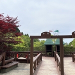 夜須高原記念の森・グリーン迷路