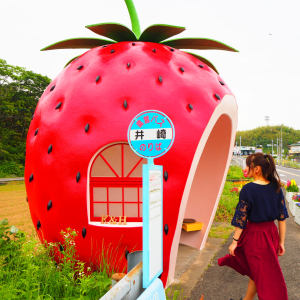 アバター画像