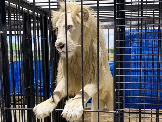不二精機 presents 完全自己責任！？ふれあい動物園ノースサファリサッポロ