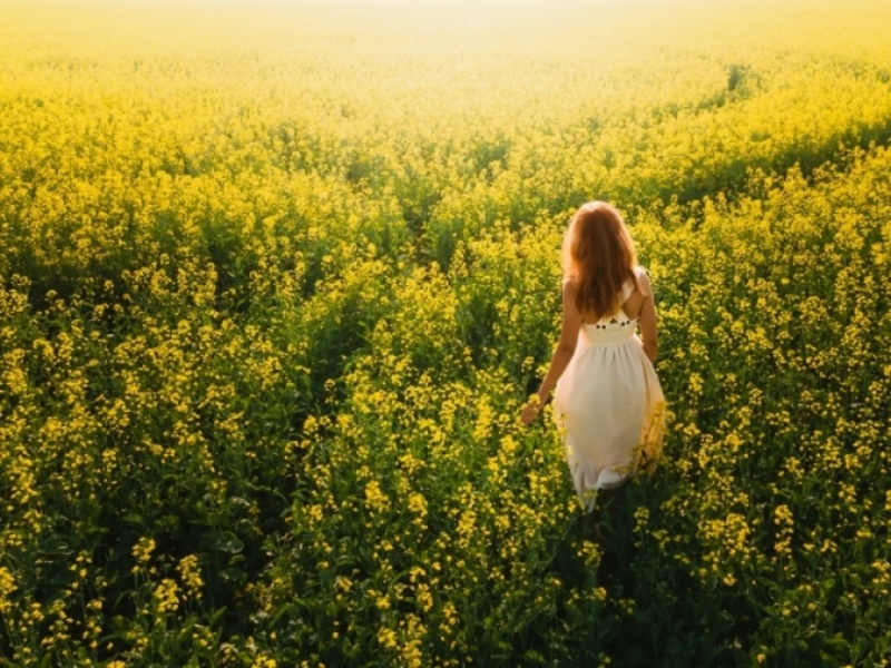 黄色い花畑を眺める女性