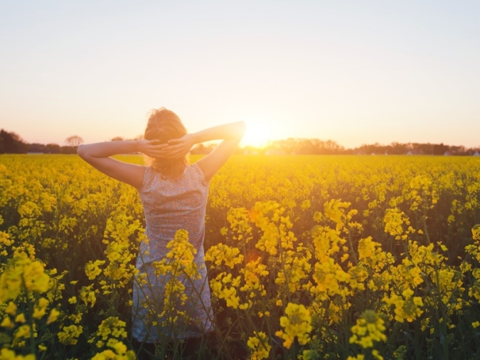 黄色い花畑で夕日を眺める女性