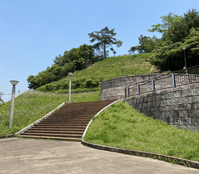福岡県営中央公園　花の丘バス通り沿い駐車場からの景色