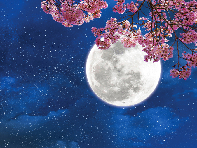 イヴルルド4月の占い