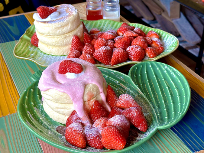 カフェ多肉倶楽部