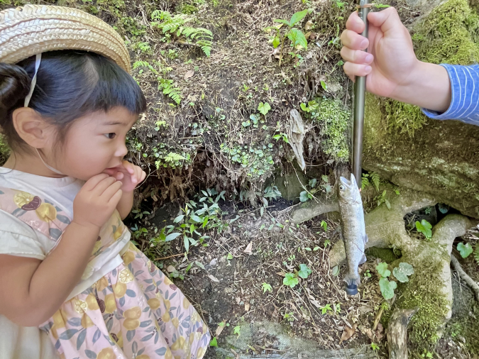 白糸の滝　やまめ釣り