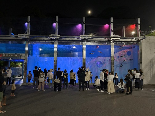 福岡市動植物園　夜の動植物園　ペンギン水槽ライトアップ