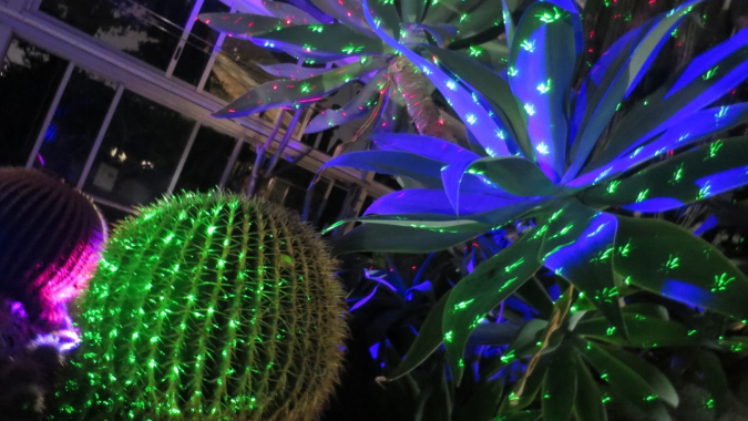 福岡市動植物園　夜の動植物園　温室ライトアップ