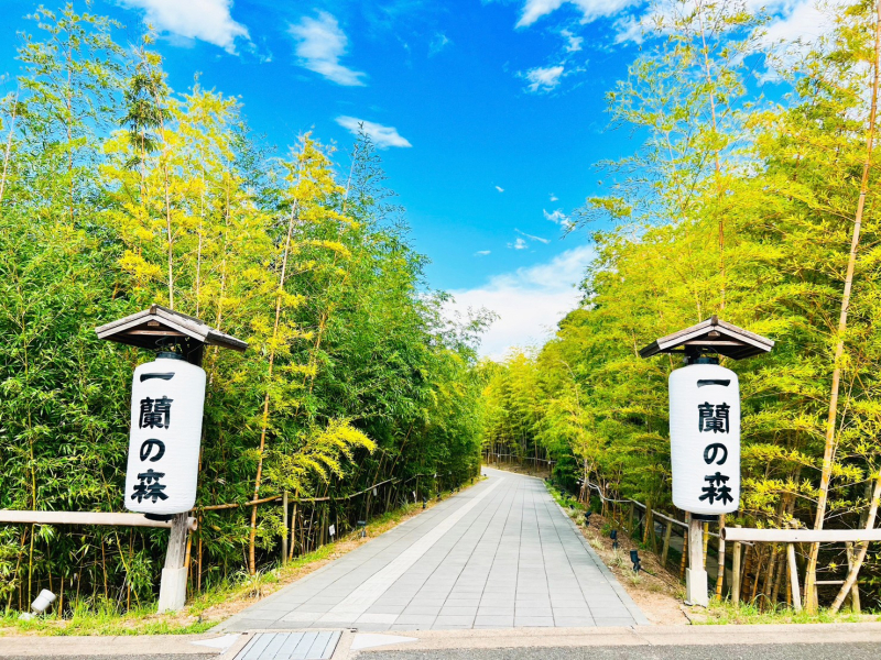 入口　一蘭の森