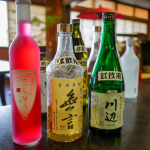 Sengetsu Sake Brewery: Brewery tour and tasting