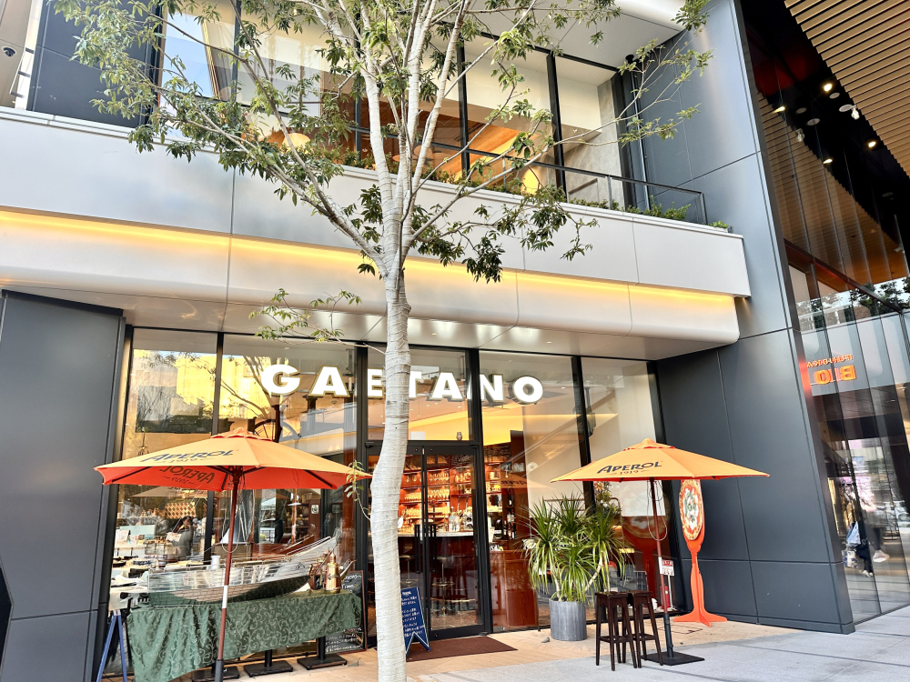 IMG_9538-scaled-e1701333437947