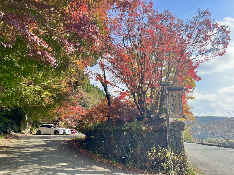 栗山温泉紅さんざし