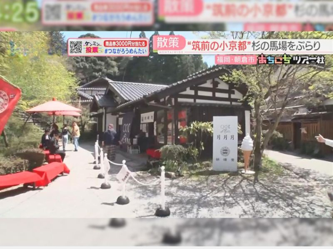 めんたいワイド「あちこちツアー社」　月月月