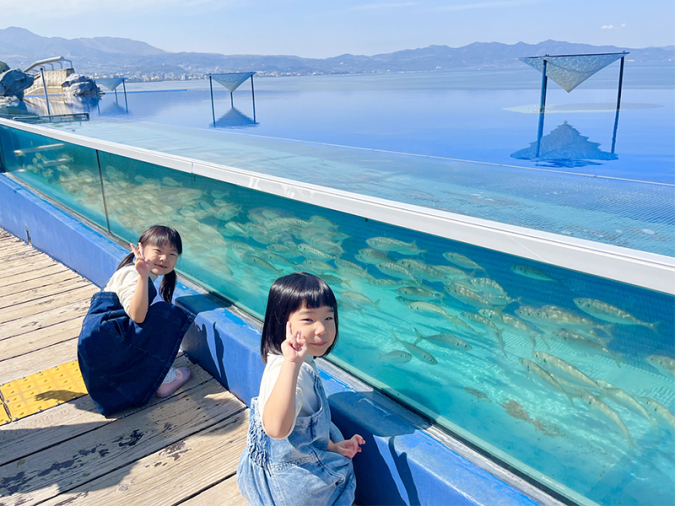 大分マリーンパレス水族館「うみたまご」