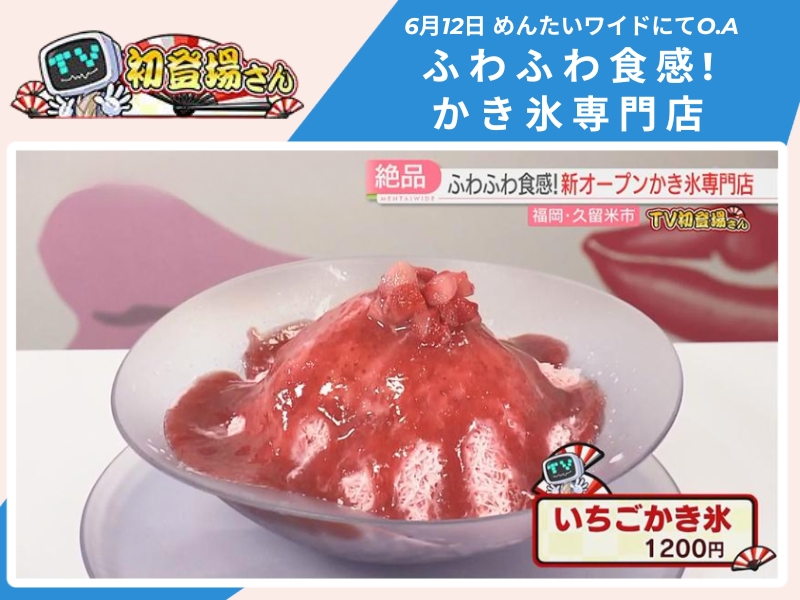 Mentai Wide "TV First Appearance" Lip de Koori Tea Shaved Ice