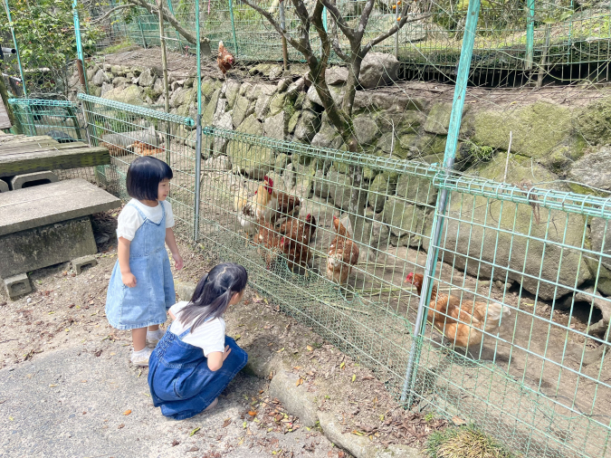 岩屋うどん