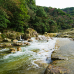 Gokayama Cross