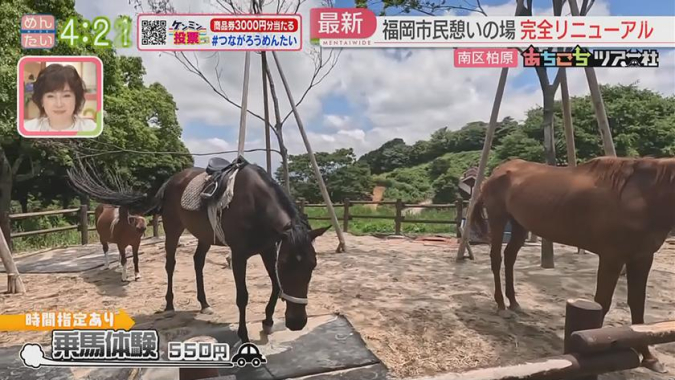 めんたいワイド「あちこちツアー社」　ABURAYAMA FUKUOKA（アブラヤマ フクオカ）　乗馬体験