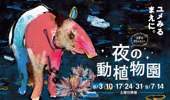 福岡市動植物園　夜の動植物園