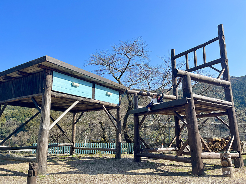 Momiji School and Momiji Cafe/Buzen City