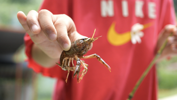 Mountain Garden Crayfish Fishing