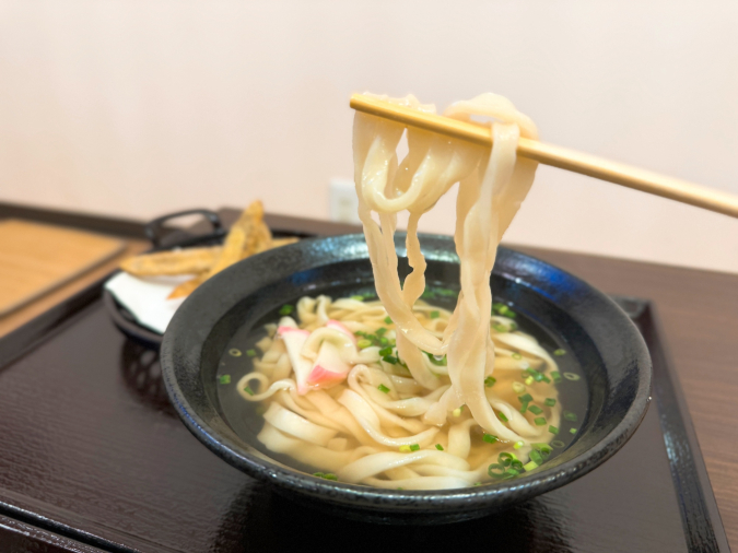 Udon Hanawa Burdock Tempura Udon