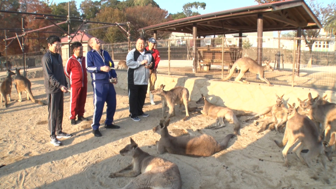 カンガルー　今田耕司のすっぴんツアー