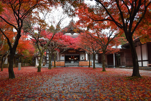 呑山観音寺　天王院　紅葉