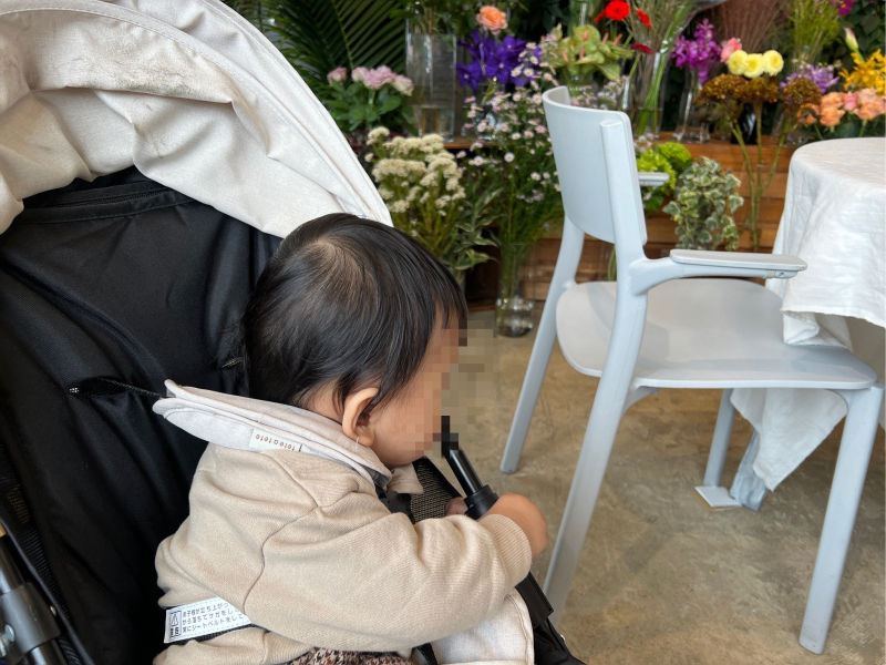 OLDBANK Child in a stroller