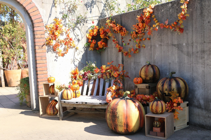 Halloween photo spot at Uminonakamichi National Park