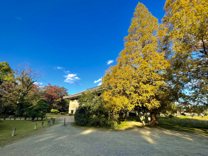 観世音寺　宝蔵１