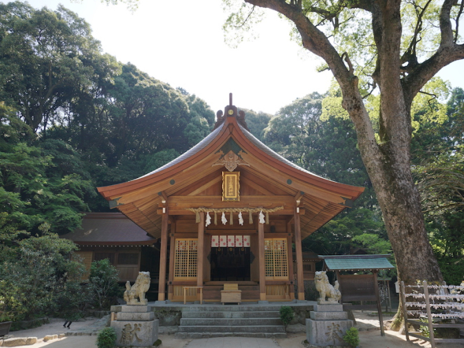 宝満宮竈門神社　御本殿・拝殿