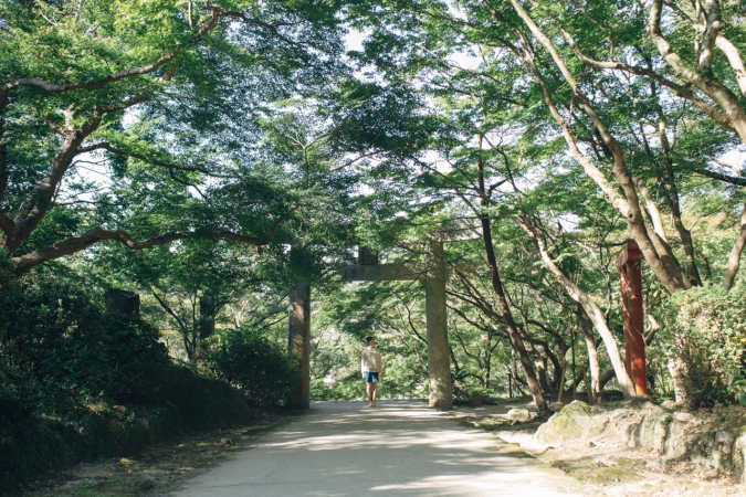 宝満宮竈門神社　鳥居