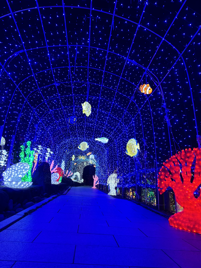 道の駅おおとう桜街道　イルミネーション