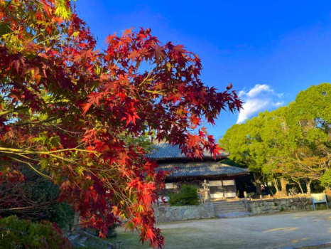 観世音寺　太宰府　福岡　紅葉