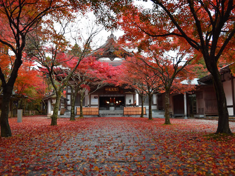 呑山観音寺（のみやまかんのんじ）