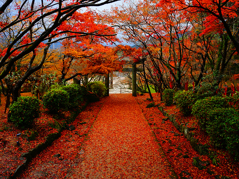 宝満宮竈門神社（かまどじんじゃ）