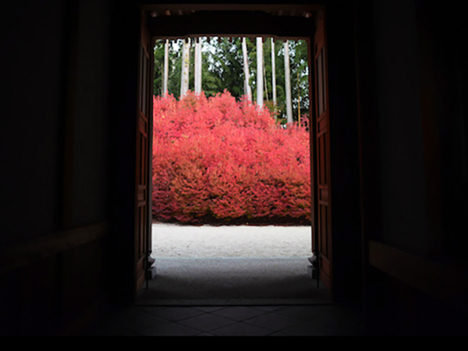 呑山観音寺　紅葉